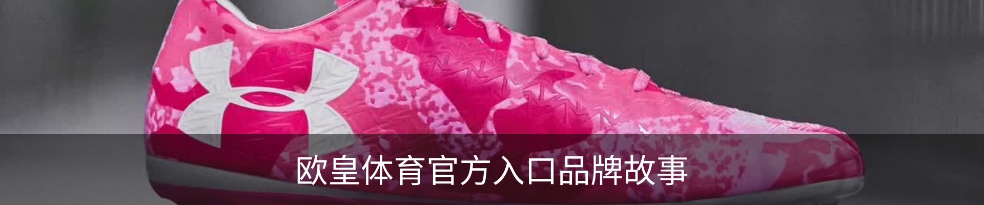 欧皇体育官方入口品牌故事